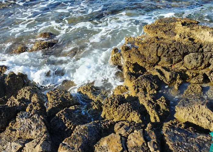 Da Pina Sud